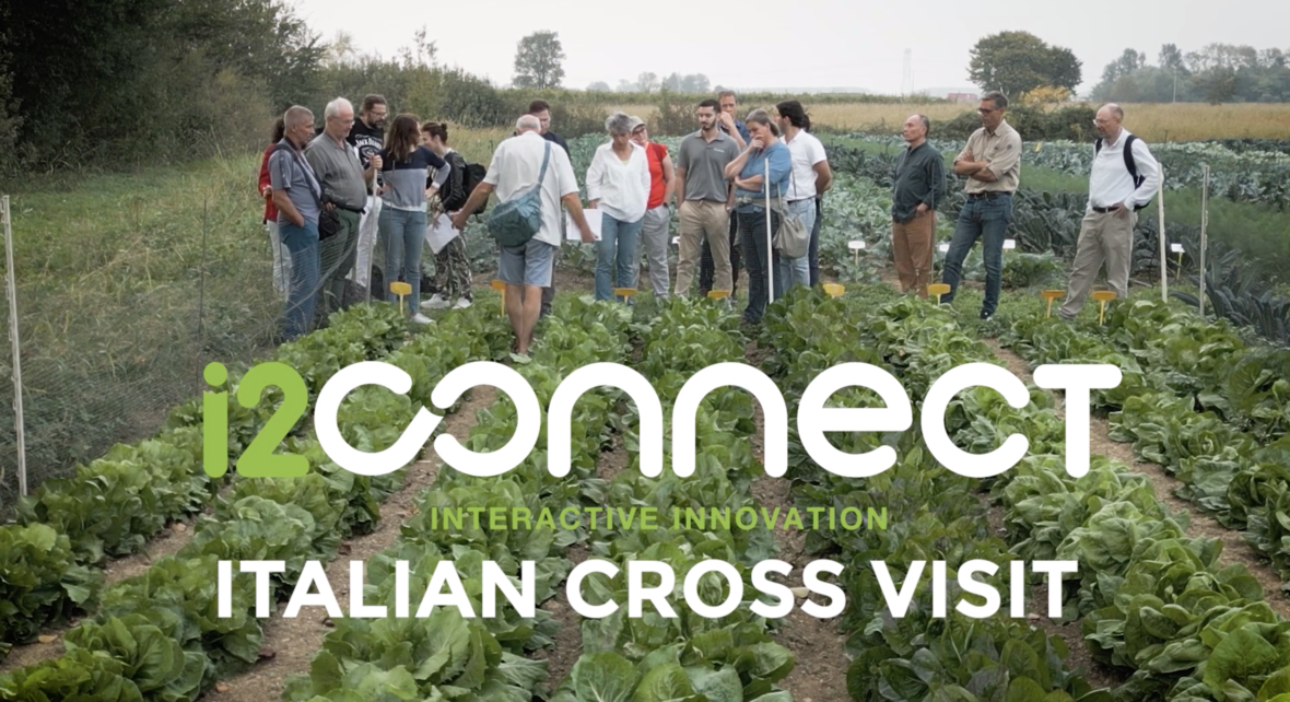 CROSS-BORDER LEARNING IN ORGANIC AGRICULTURE: CROSS VISIT OF EUROPEAN AGRICULTURAL ADVISORS IN ITALY