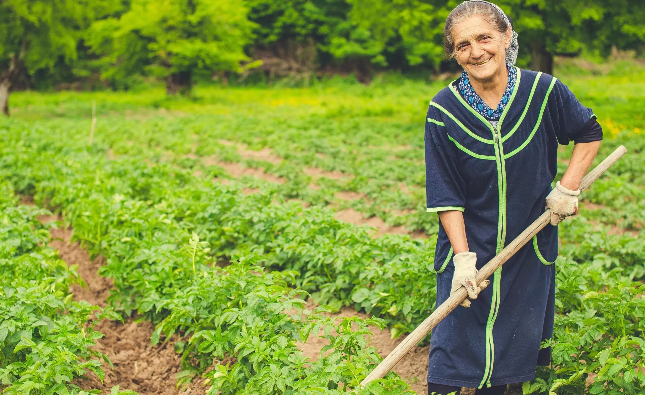 corenet - New Study Examines Short Supply Chain Trends Among Farmers in Flanders