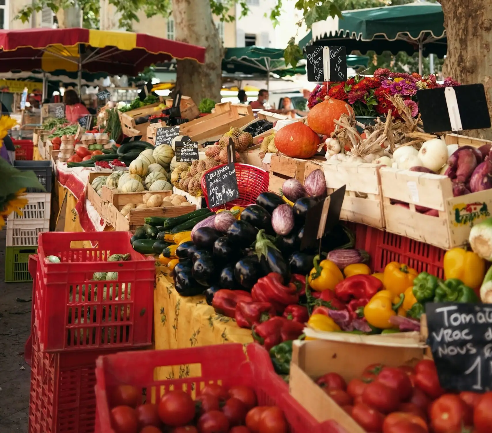 corenet - Enhancing the resilience of short food supply chains: toward a relational understanding of the resilience process in the face of inflation