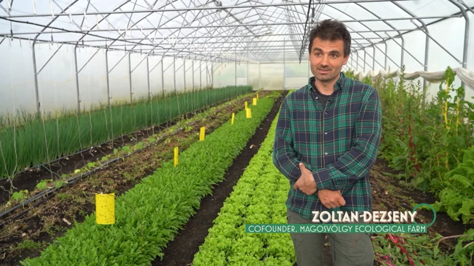 corenet - How MagosVölgy way of farming puts people and soil at heart