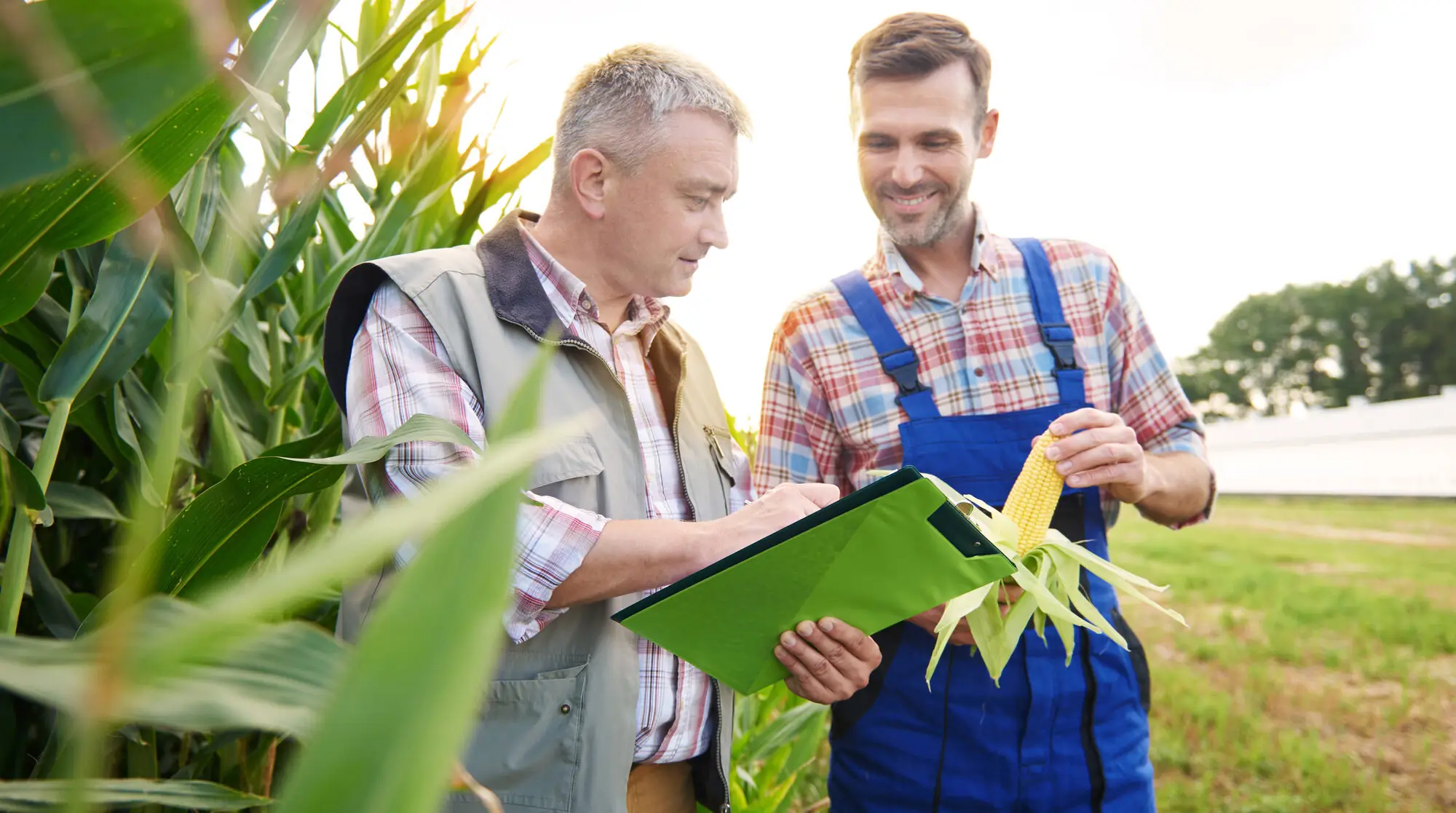corenet - COREnet and EU4Advice launch the “Local Food Advisors’ Journey 2026”