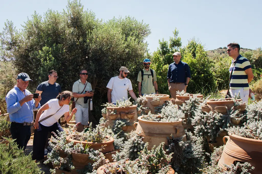 corenet - “FROM FARM TO TABLE TO FARM”: COREnet EUROPEAN ROADSHOW IN GREECE EXPLORES HOW MULTIFUNCTIONAL AGRICULTURE CAN POWER LOCAL FOOD SYSTEMS IN A CIRCULAR WAY