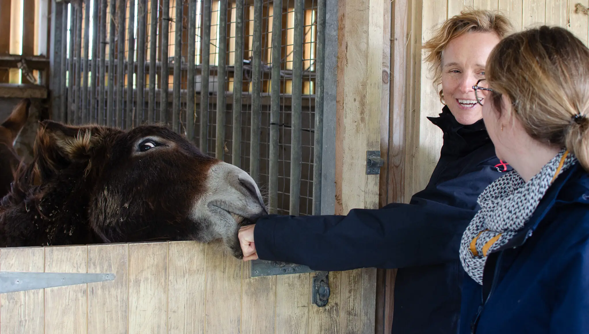 corenet - #RuralWomenVoice: COREnet gives a voice to women in rural communities across Europe