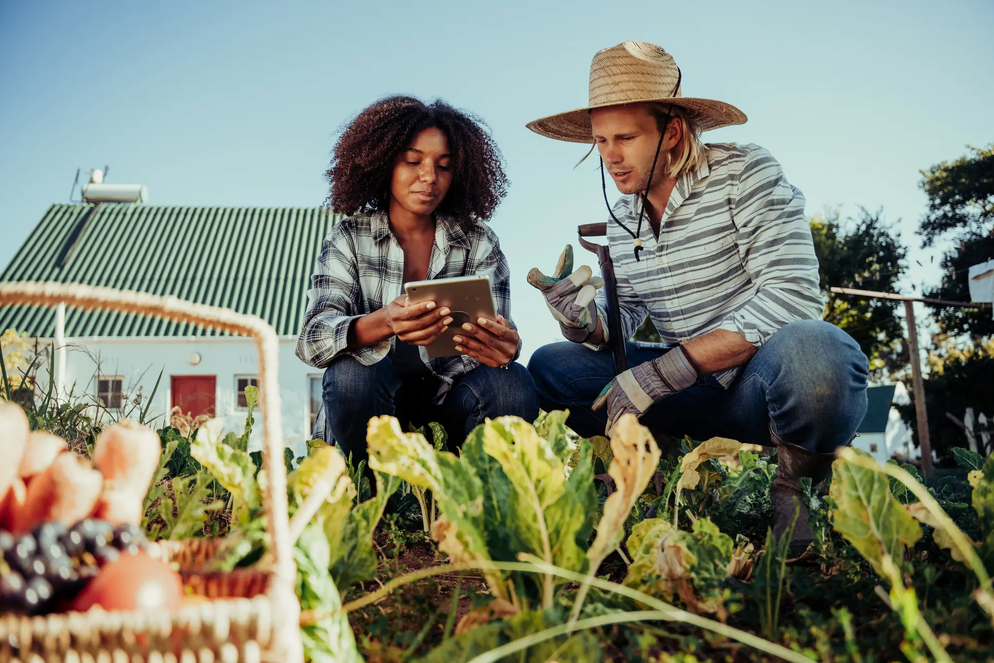 corenet - Smart is not enough: rethinking tech for small-scale farming